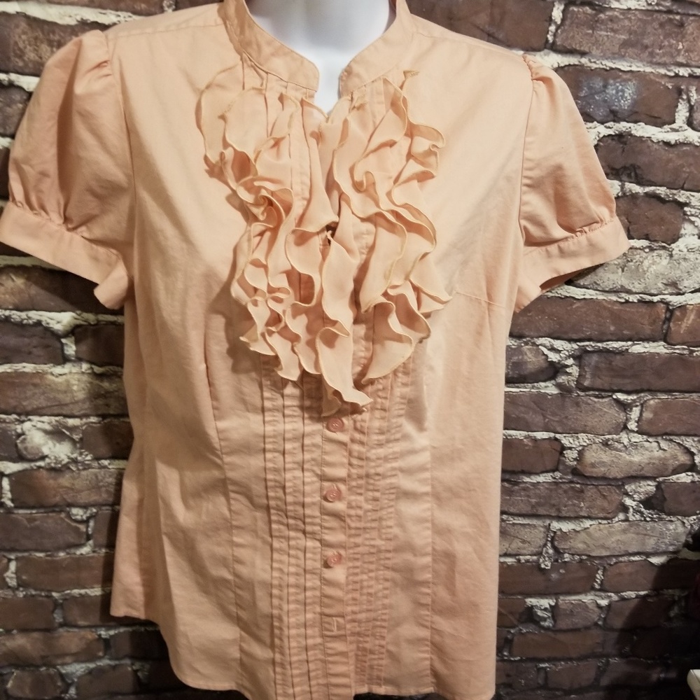 THE LIMITED BUTTON DOWN BLOUSE